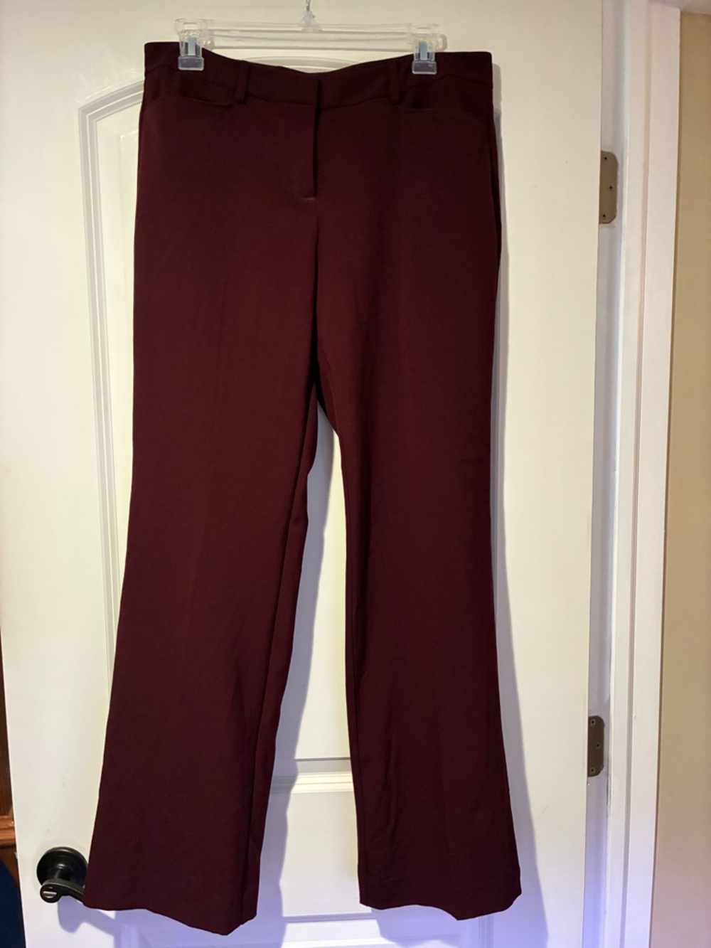 Burgundy / maroon Boot Cut Dress Pants